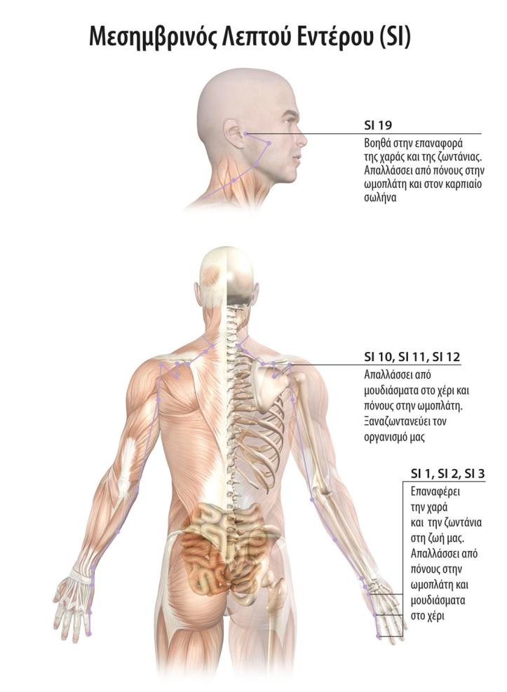 16-mes-leptou-enterou-si
